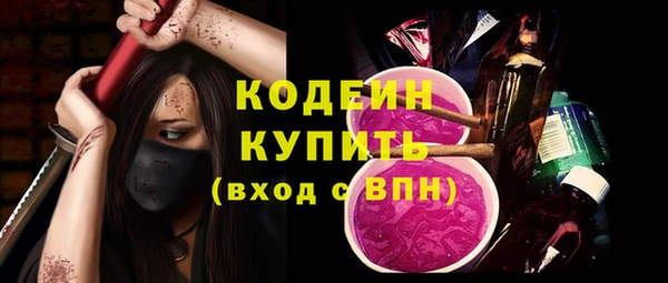 прущие грибы Богданович