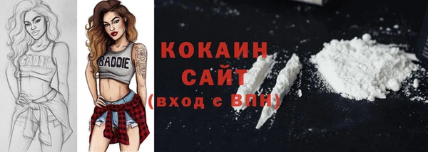 прущие грибы Богданович
