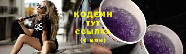 прущие грибы Богданович