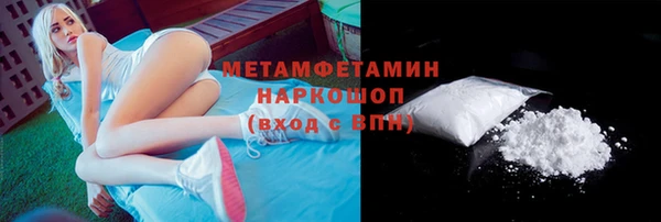 прущие грибы Богданович