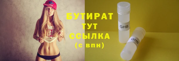 прущие грибы Богданович