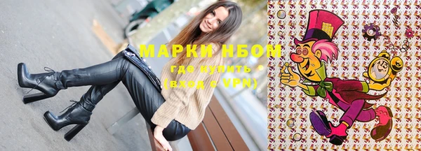 прущие грибы Богданович