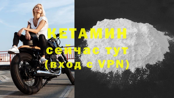 прущие грибы Богданович