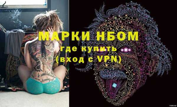СК Богородск