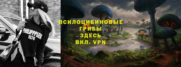 прущие грибы Богданович