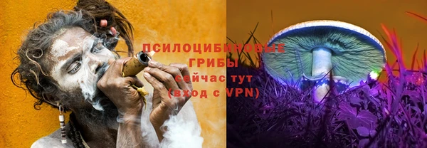 прущие грибы Богданович