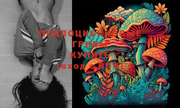 прущие грибы Богданович