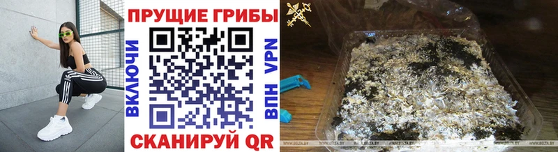 Псилоцибиновые грибы ЛСД  мега зеркало  Кирово-Чепецк 
